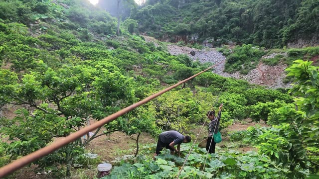 Farmers With Long Pipe In Valley