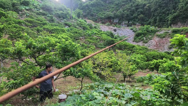 Man Carrying Long Irrigation Pipe