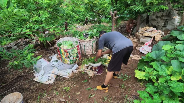 Man Bending Over Basket Of Greens