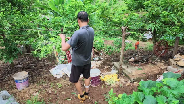 Man Standing By Baskets Of Greens