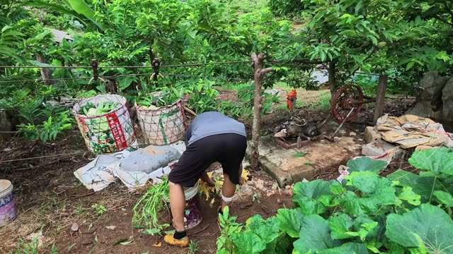 Man Carrying Squash Blossoms