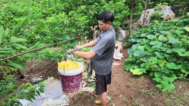 Man Filling Bucket With Blossoms
