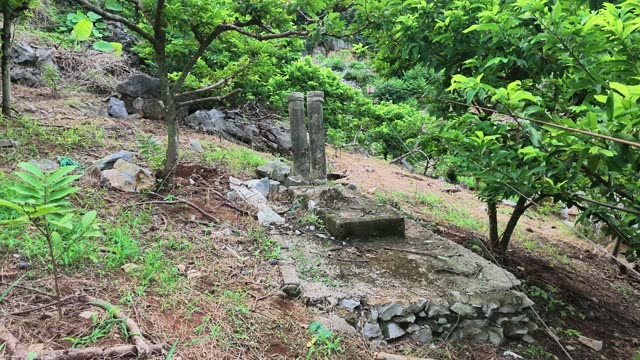 Stone Posts On Grassy Hillside