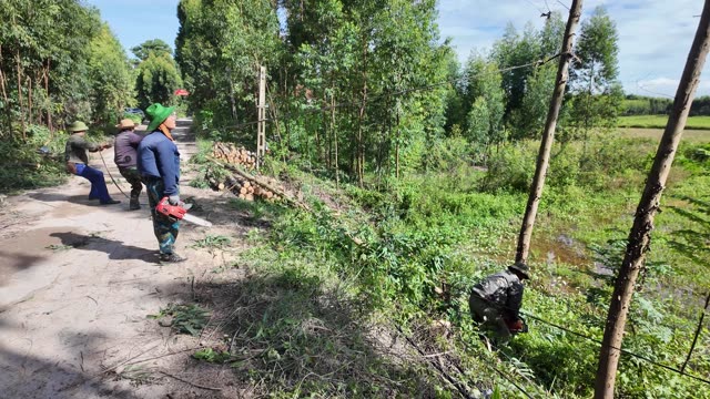 Workers Clearing Forest Trail