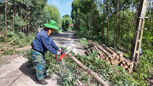Chainsaw Cutting Branches On Village Road
