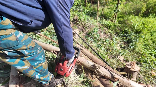 Close Up Chainsaw Cutting Log
