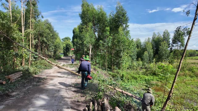 Village Dirt Road Through Green Trees