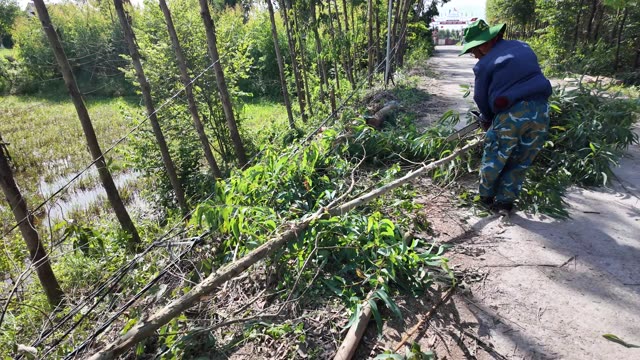 Farmer Cutting Fallen Tree By Pond