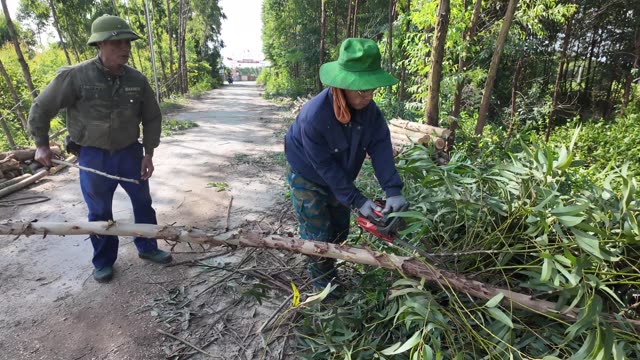 Two Farmers Sawing Log On Road