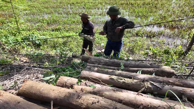 Farmers Lifting Logs At Field Edge