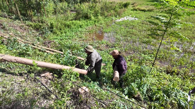 Farmers Working Logs By Wetland