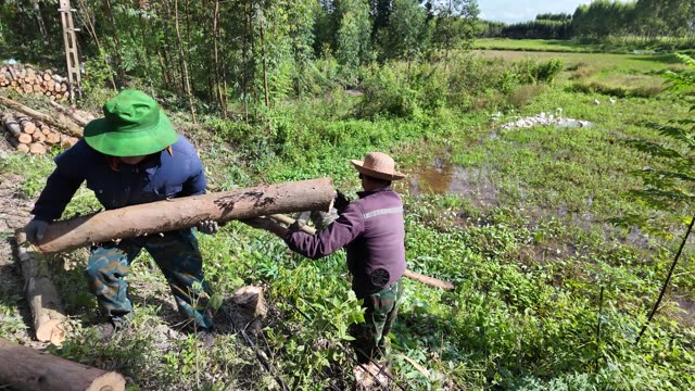 Farmers Carrying Log Past Ducks
