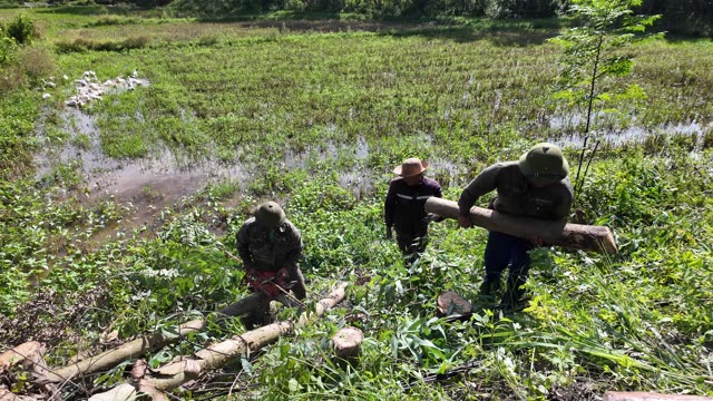 Farmers Moving Timber Beside Ducks
