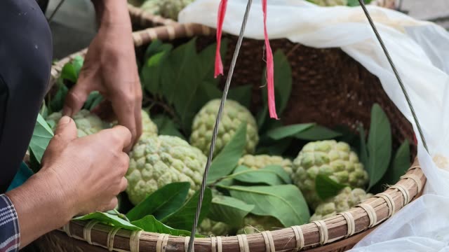 Hand Picking Custard Apple From Basket