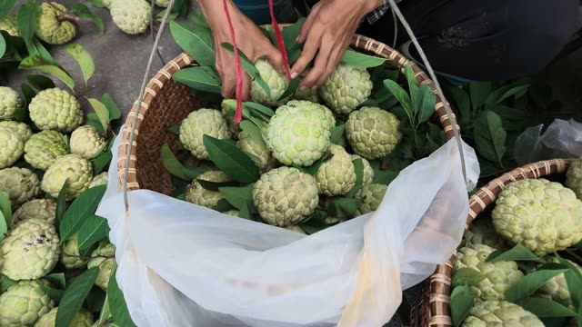 Hands Adjusting Basket With Red Ribbon