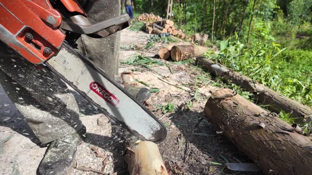 Close Up Chainsaw Bar Cutting Log