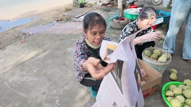 Woman Wrapping Fruit In Newspaper