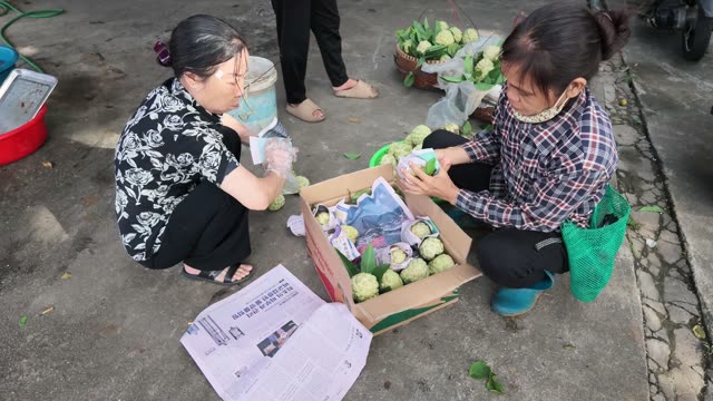 Woman Placing Wrapped Fruit In Box