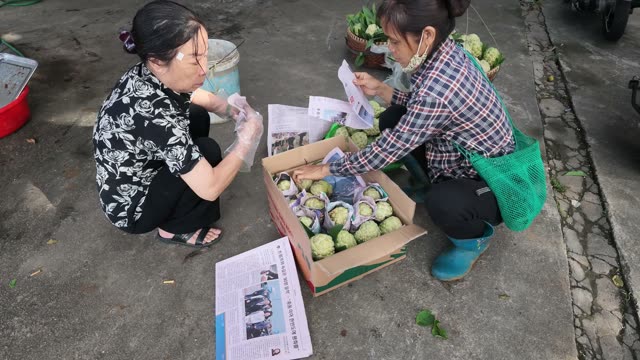 Two Women Packing Wrapped Fruit