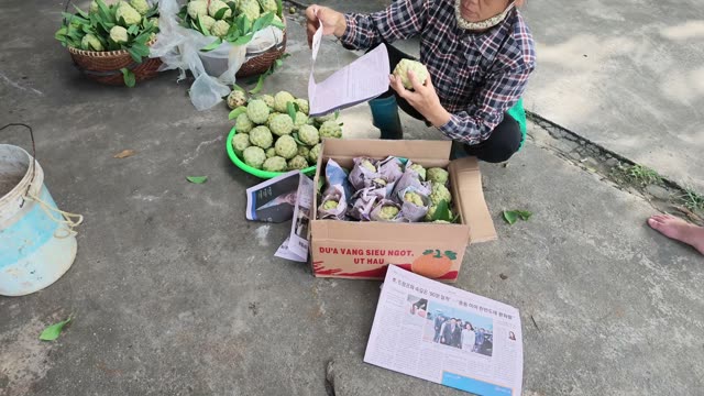 Woman Kneeling By Box Of Wrapped Fruit