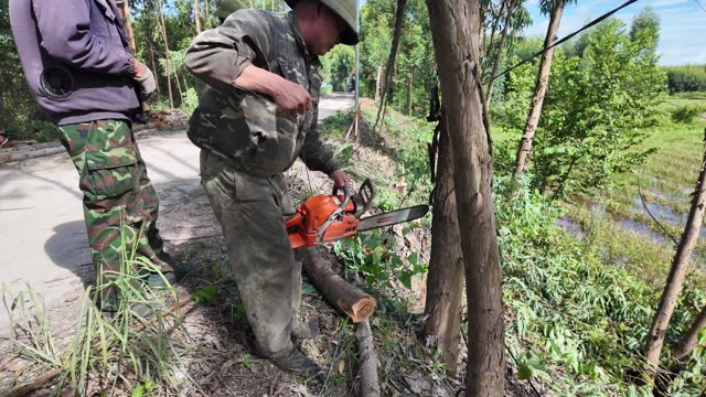 Farmer Felling Tree Trunk Roadside