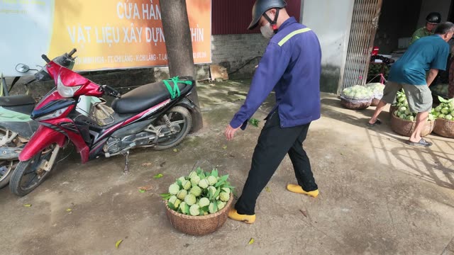 Woman Adjusting Basket On Roadside