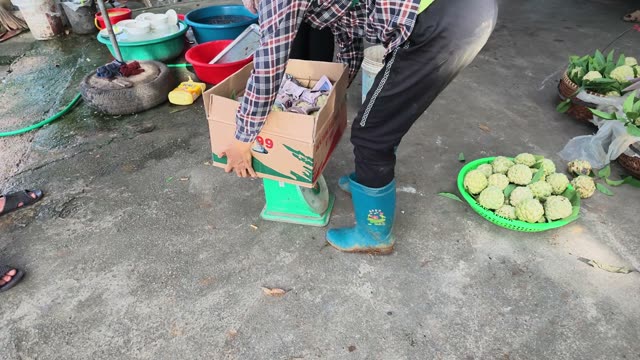 Woman Lifting Box By Scale