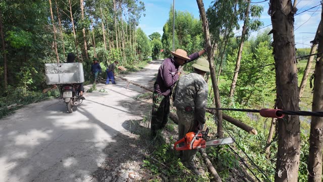 Village Road Timber Work