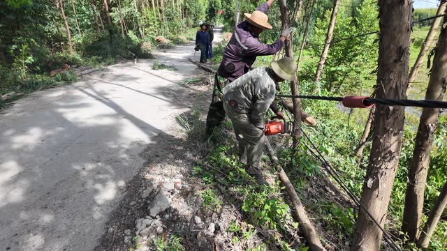 Workers Along Forest Road