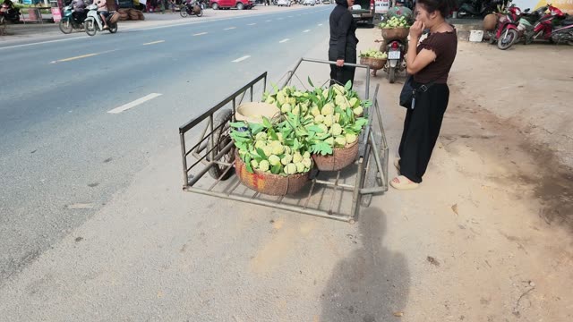 Woman Standing By Roadside Cart