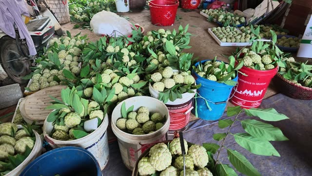 Custard Apples Arranged On Tray