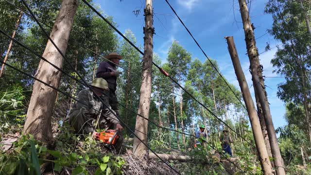 Worker Cutting On Hilltop
