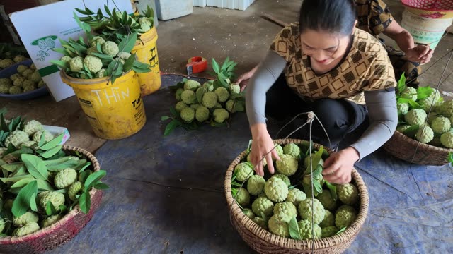 People Working In Fruit Courtyard
