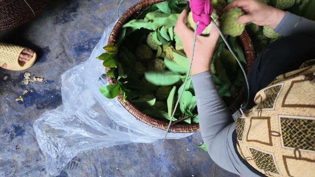 Hands Tying Basket With Pink String
