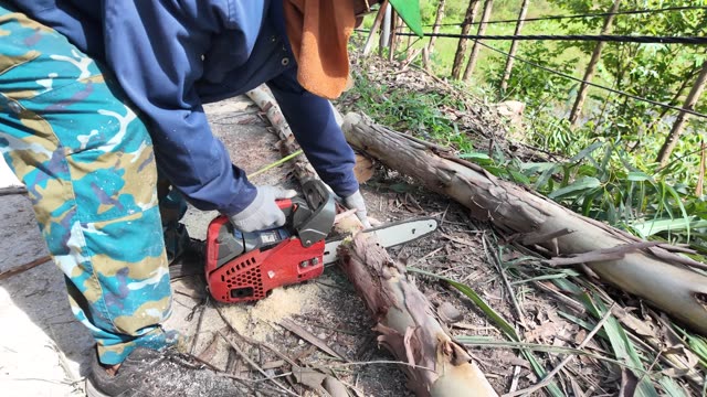 Chainsaw Cutting Log Detail