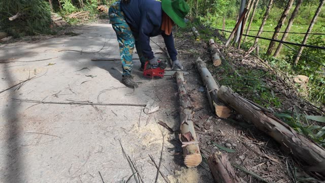 Bucking Logs On Path