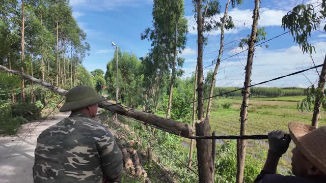 Carrying Log Past Field