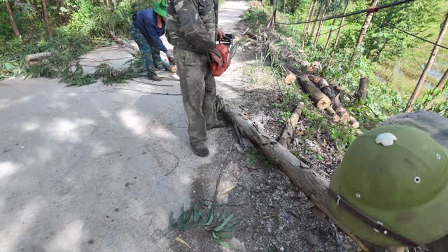Workers Cutting On Road