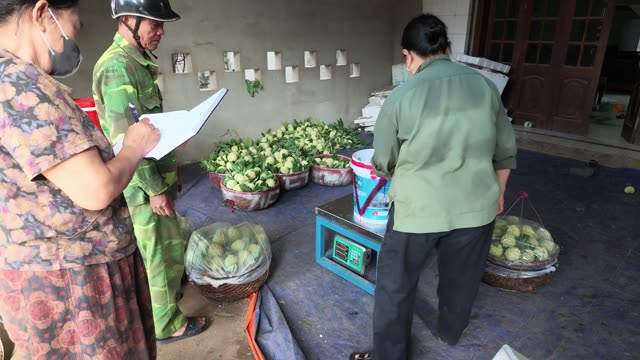 Woman Taking Notes By Fruit Baskets
