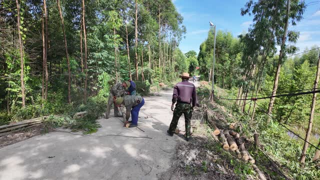 Workers On Forest Road