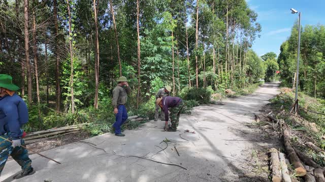 Clearing Branches On Road