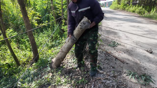 Farmer Lifting Cut Log