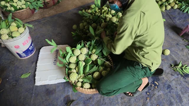 Man Arranging Basket With Foam Tray