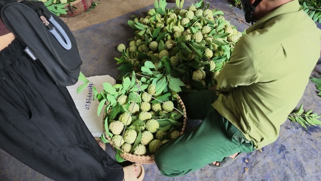 Man Adjusting Basket Ropes