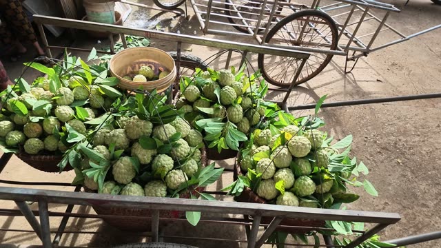 Cart Loaded With Custard Apple Baskets