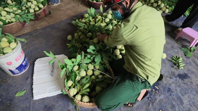 Man In Helmet Arranging Basket