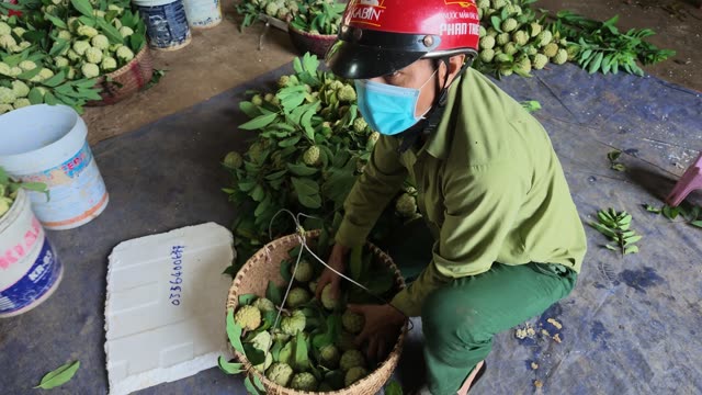 Man Packing Basket At Collection Point