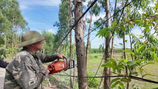 Felling Tree By Field