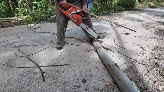 Cutting Pole On Road