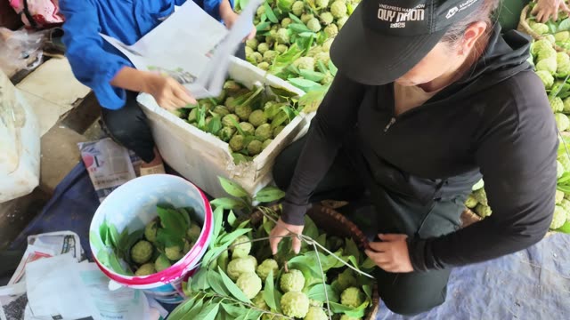 Women Sorting Fruit Into Box